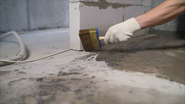 SJ Waterproofing Pros Waterproofing coverage map for Mount Vernon, WA and surrounding area